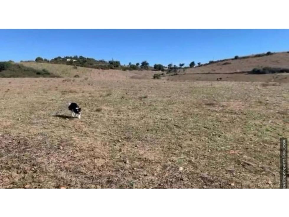 Finca/Casa di Campagna in vendita in San Martin del Tesorillo - 630.000 € (Rif: 9356478)