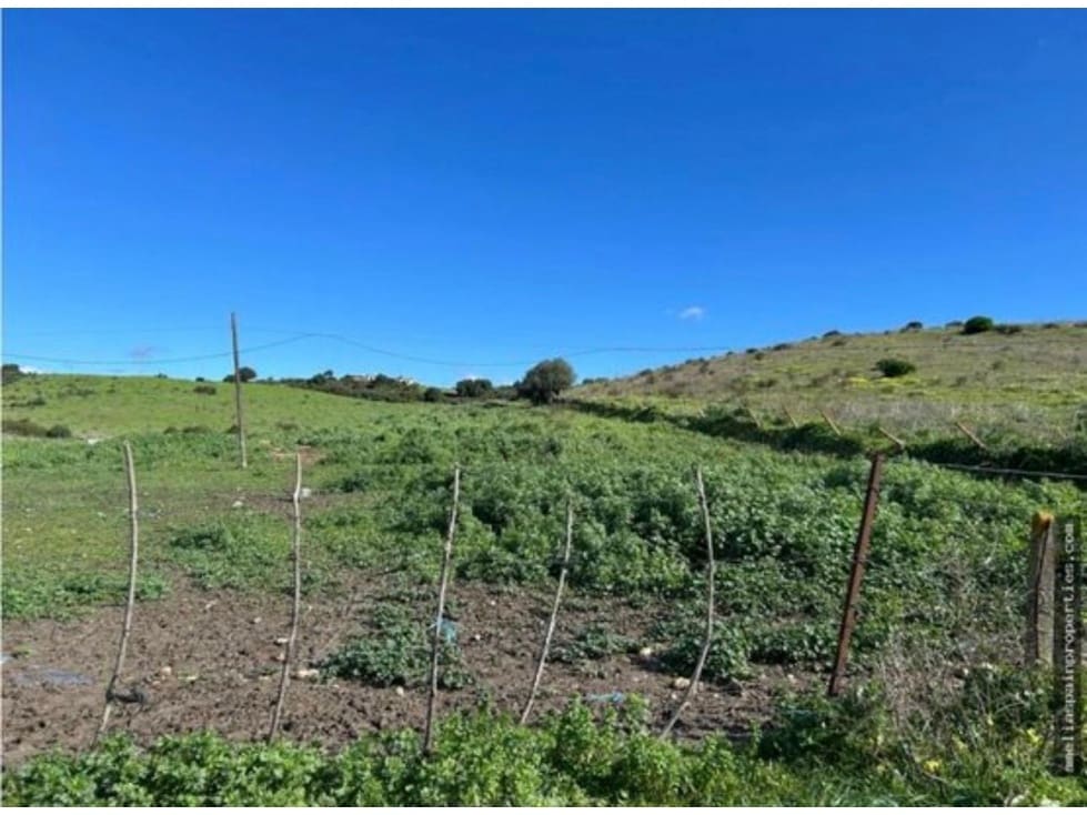 Finca/Casa di Campagna in vendita in San Martin del Tesorillo - 630.000 € (Rif: 9356478)