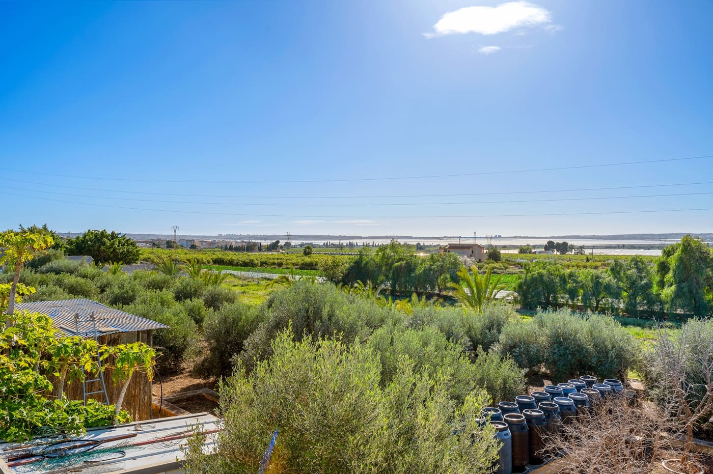 Finca/Casa Rural de 6 habitaciones en Los Montesinos en venta con piscina - 425.000 € (Ref: 9666109)