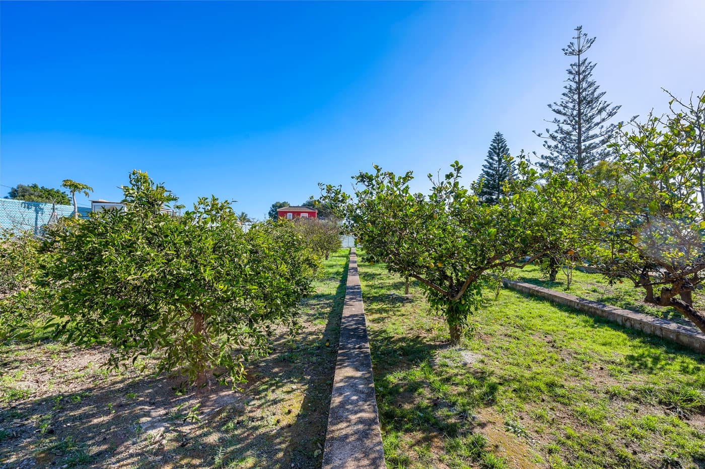 Finca/Casa Rural de 6 habitaciones en Los Montesinos en venta con piscina - 425.000 € (Ref: 9666109)