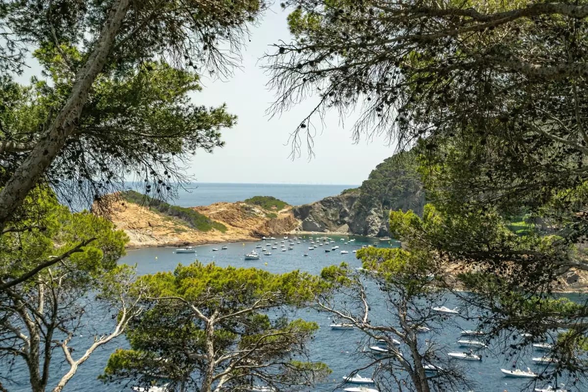 4 chambre Appartement à vendre à Begur - 2 256 884 € (Ref: 8664138)