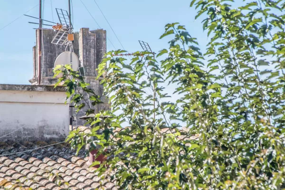 4 makuuhuone Huoneisto vuokrattavana paikassa Palafrugell mukana 
autotalli - 1 450 € (Ref: 9371988)