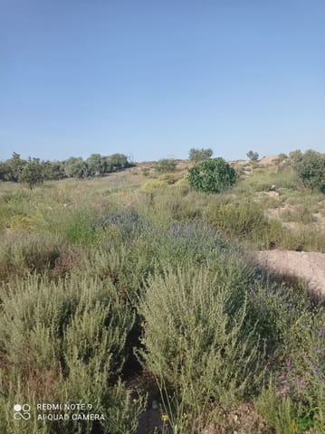 Tomt till salu i La Hoya, Lorca - 73 500 € (Ref: 10012376)