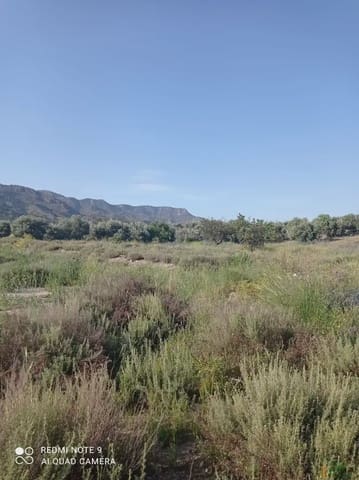 Tomt till salu i La Hoya, Lorca - 73 500 € (Ref: 10012376)
