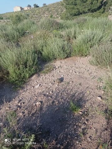 Tomt till salu i La Hoya, Lorca - 73 500 € (Ref: 10012376)