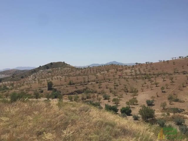 Tomt till salu i Lorca - 90 500 € (Ref: 10012378)