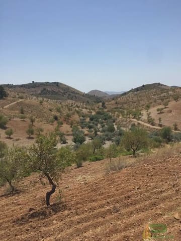 Tomt till salu i Lorca - 90 500 € (Ref: 10012378)