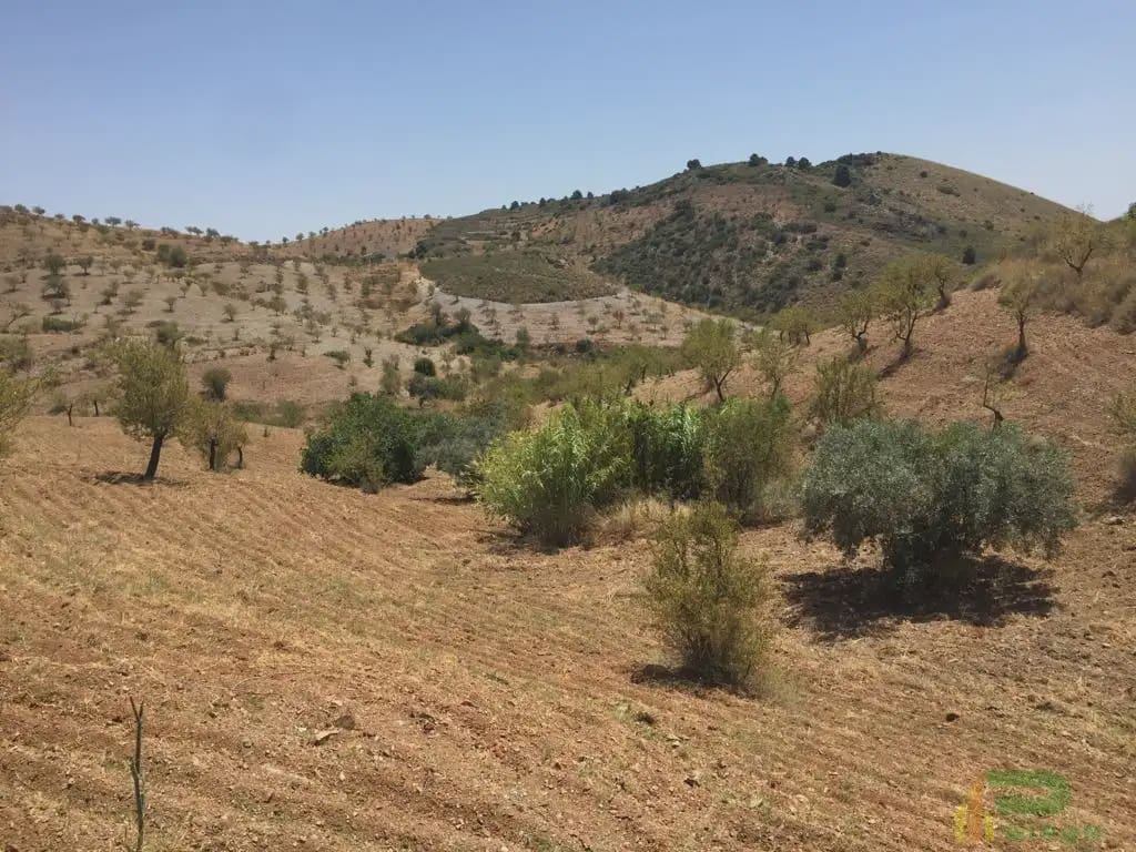 Tomt till salu i Lorca - 90 500 € (Ref: 10012378)