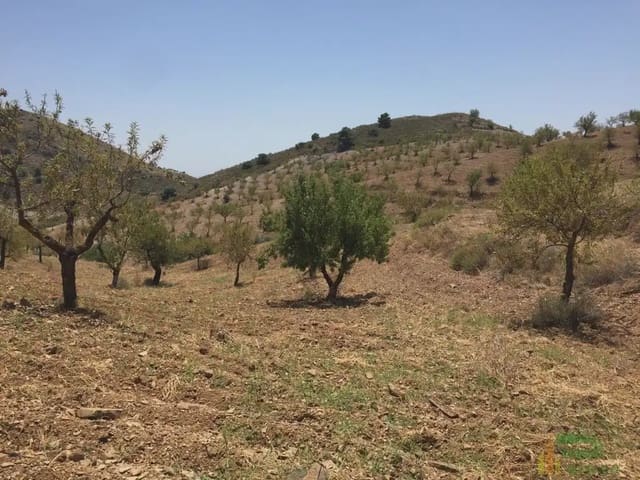Tomt till salu i Lorca - 90 500 € (Ref: 10012378)