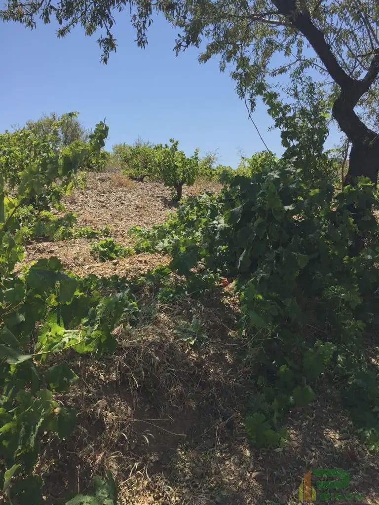 Tomt till salu i Lorca - 90 500 € (Ref: 10012378)