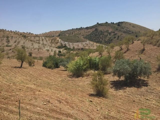 Tomt till salu i Lorca - 90 500 € (Ref: 10012378)