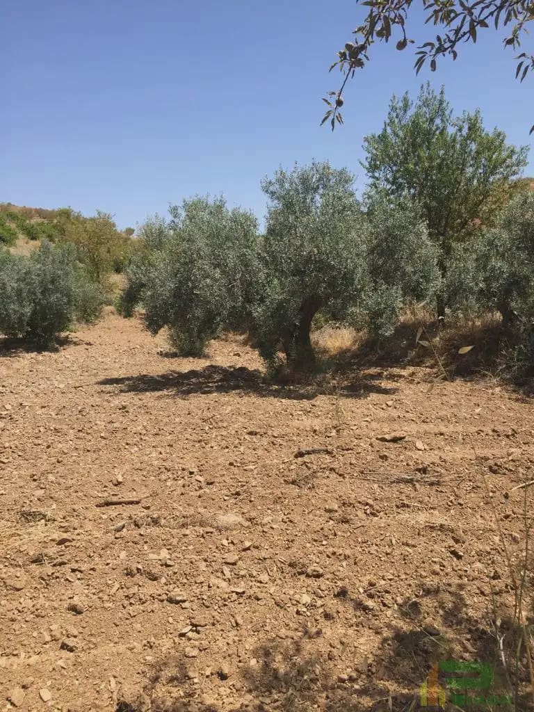Tomt till salu i Lorca - 90 500 € (Ref: 10012378)
