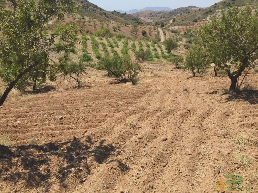 Tomt till salu i Lorca - 90 500 € (Ref: 10012378)