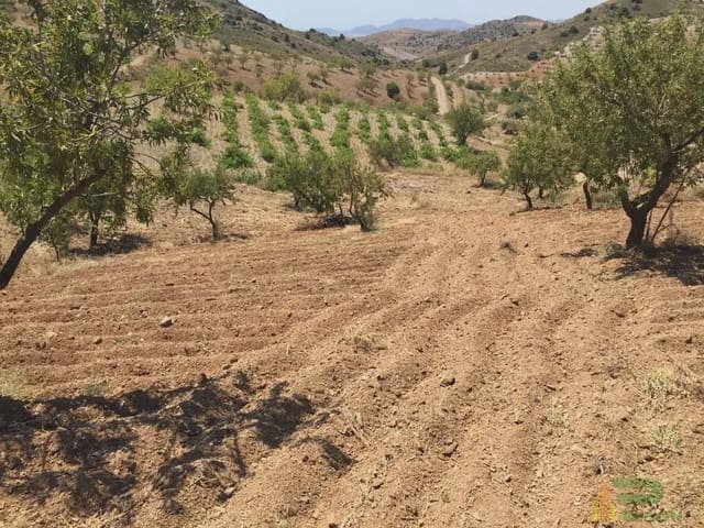 Tomt till salu i Lorca - 90 500 € (Ref: 10012378)