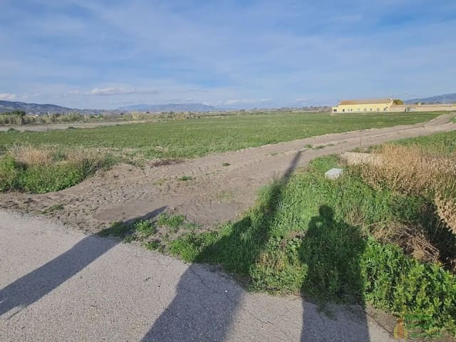 Tomt till salu i Lorca - 69 950 € (Ref: 10012384)