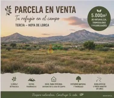 Tomt till salu i La Hoya, Lorca - 66 000 € (Ref: 10012410)