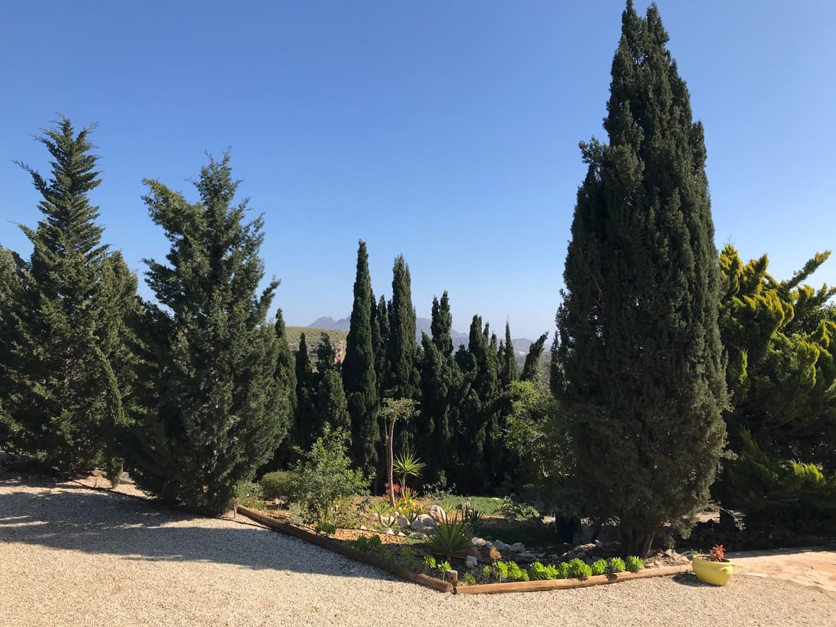 6 quarto Quinta/Casa Rural para venda em Agua Amarga com piscina garagem - 1 520 000 € (Ref: 6744098)