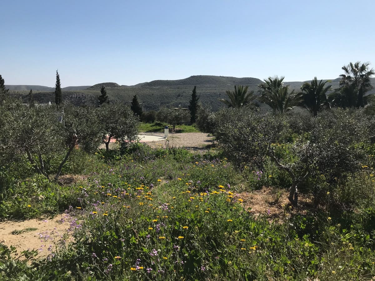 6 quarto Quinta/Casa Rural para venda em Agua Amarga com piscina garagem - 1 520 000 € (Ref: 6744098)