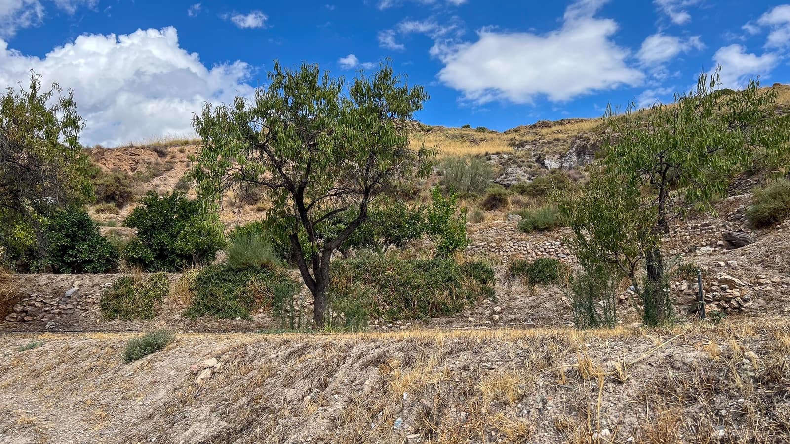 5 soveværelse Finca/Landehus til salg i Lucar med garage - € 312.000 (Ref: 9399918)