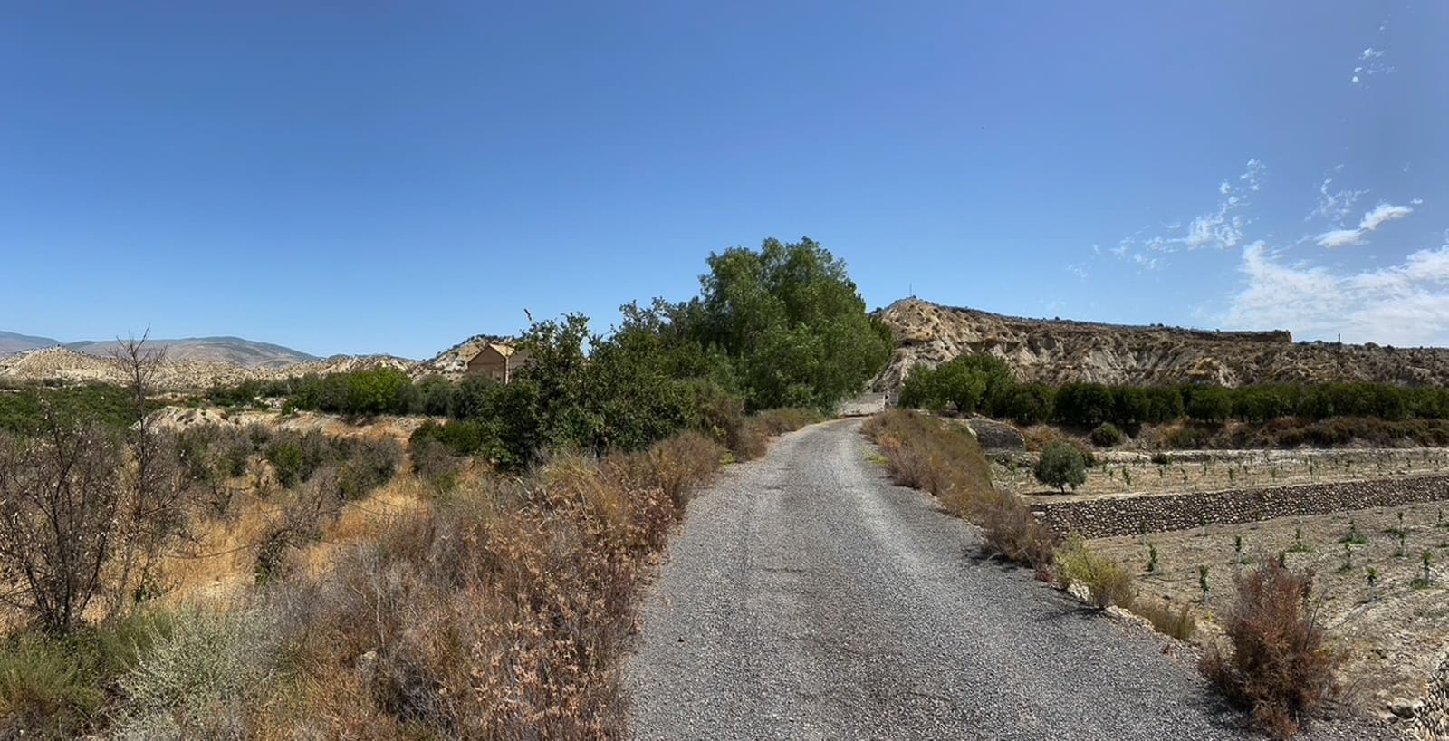 7 bedroom Finca/Country House for sale in Bentarique - € 300,000 (Ref: 9870431)