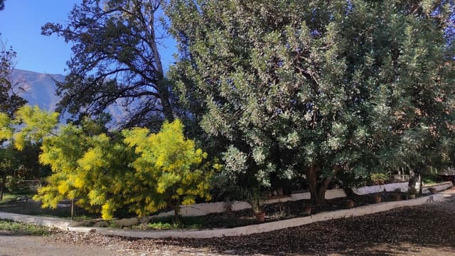 7 bedroom Finca/Country House for sale in Bentarique - € 300,000 (Ref: 9870431)
