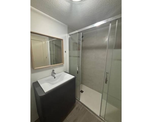 Appartement de 1 chambre à louer à Playa de los Locos, Torrevieja - 750 € (Ref: 10033208)