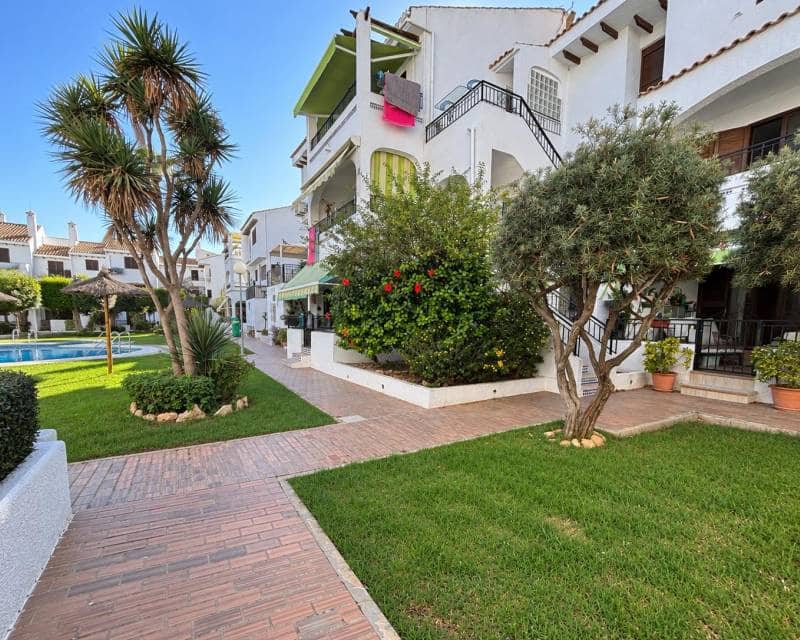 Adosado de 1 habitación en Playa Flamenca en alquiler con piscina garaje - 950 € (Ref: 10073096)