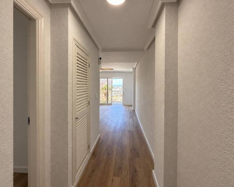 1 soveværelse Lejlighed til leje i Torrevieja med swimmingpool - € 650 (Ref: 10088518)