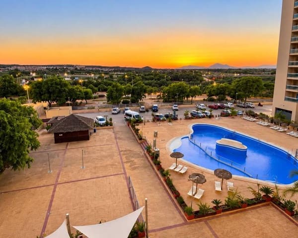 Apartamento de 1 habitación en Puerto Deportivo, Guardamar del Segura en alquiler con piscina garaje - 800 € (Ref: 10165936)