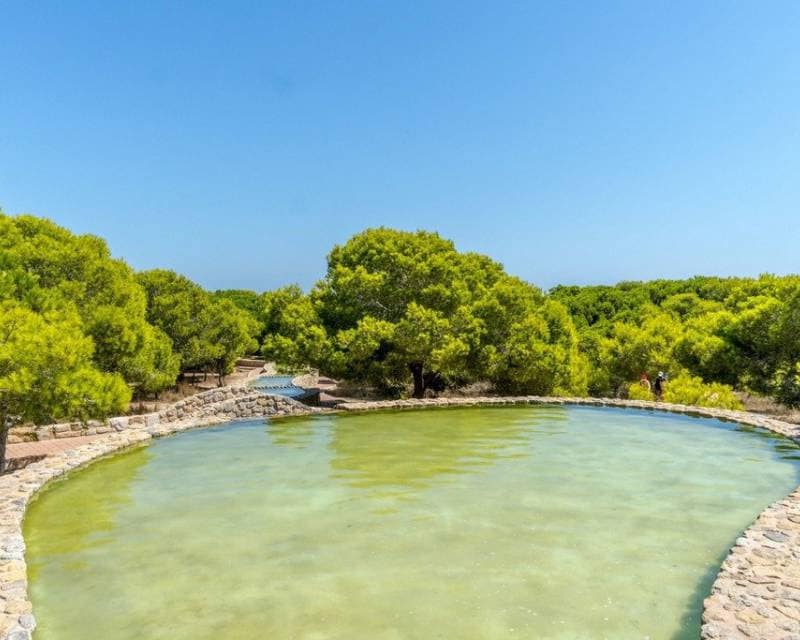 Garage for sale in La Mata - € 12,000 (Ref: 6121943)