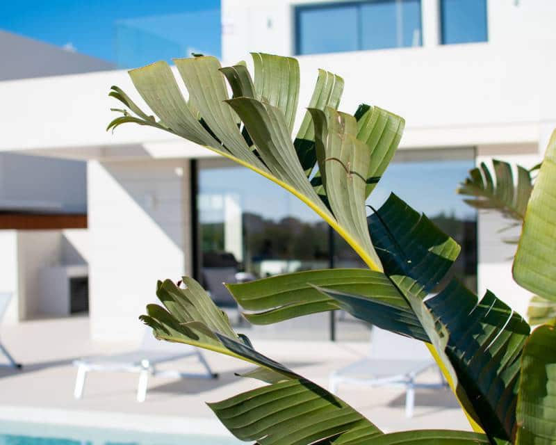 3 bedroom Villa for sale in Los Montesinos with pool - € 499,000 (Ref: 7288954)