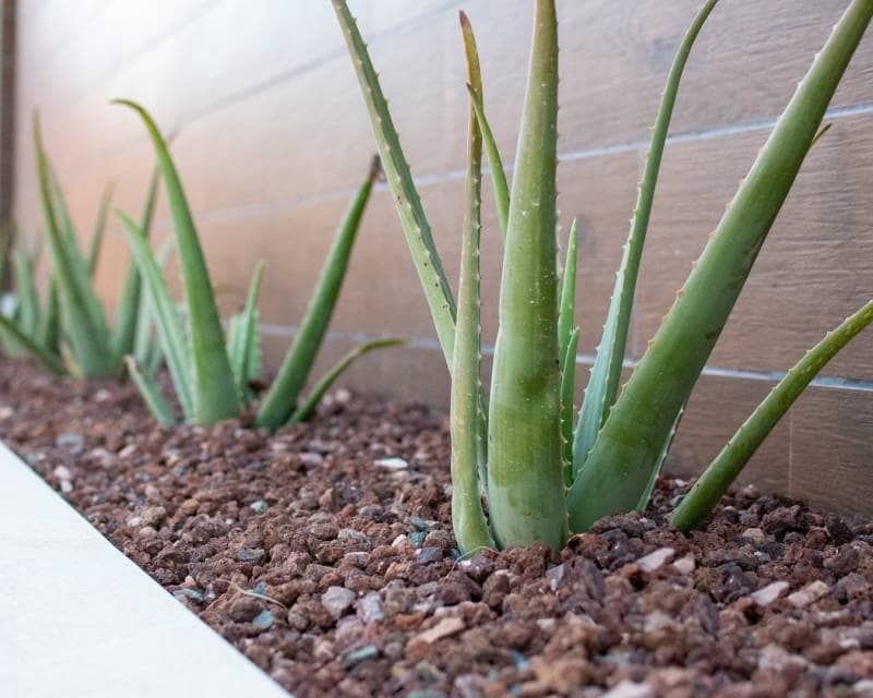 3 bedroom Villa for sale in Los Montesinos with pool - € 499,000 (Ref: 7288954)