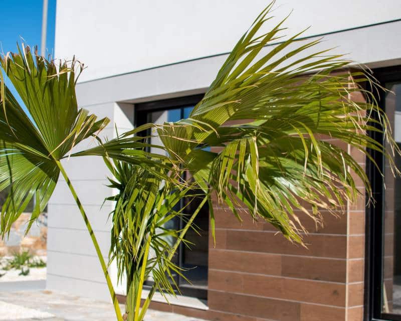 3 bedroom Villa for sale in Los Montesinos with pool - € 499,000 (Ref: 7288954)