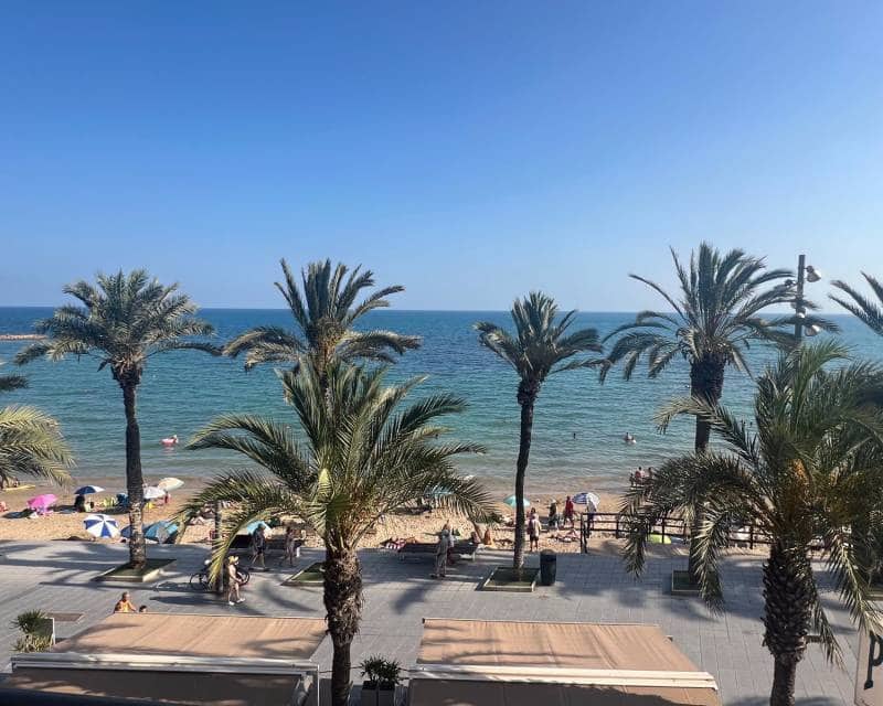 3 bedroom Apartment for rent in Torrevieja with garage - € 850 (Ref: 8499544)