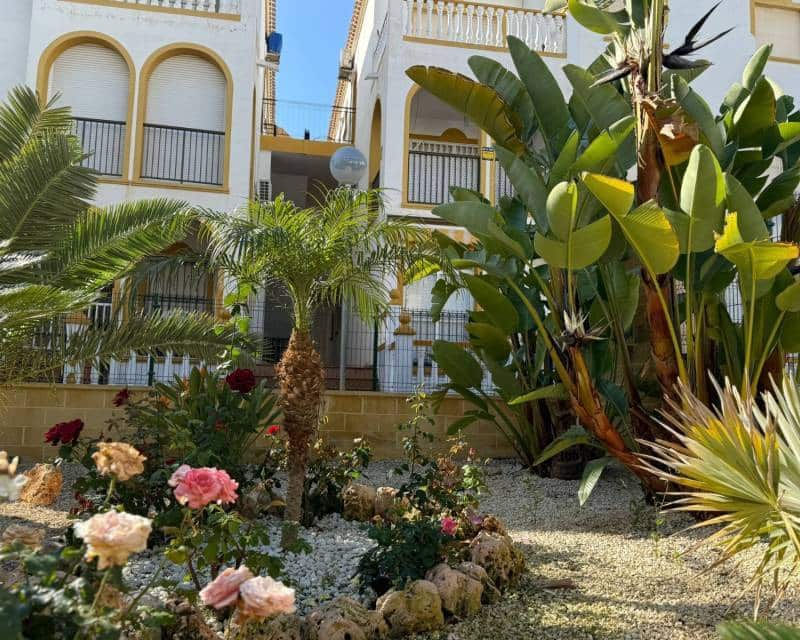 3 quarto Apartamento para venda em La Mata com piscina - 269 000 € (Ref: 9502993)