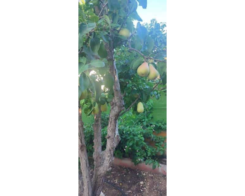 5 slaapkamer Villa te koop in Ciudad Quesada met zwembad - € 459.000 (Ref: 9524687)