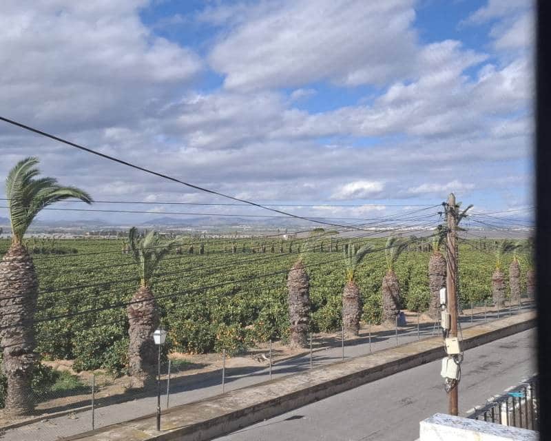 1 sypialnia Apartament do wynajęcia w Los Balcones z basenem - 700 € (Ref: 9570120)