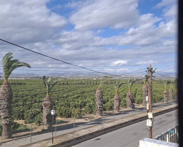 1 sypialnia Apartament do wynajęcia w Los Balcones z basenem - 700 € (Ref: 9570120)