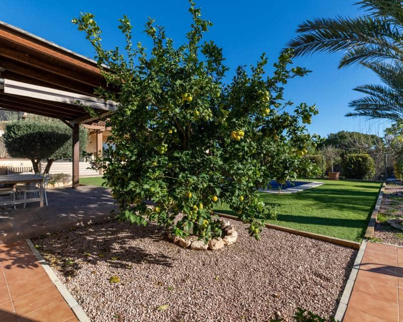 4 Zimmer Villa zu verkaufen in Elche / Elx mit Pool Garage - 590.000 € (Ref: 9580116)