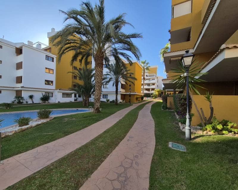 3 soverom Leilighet til leie i Punta Prima med svømmebasseng garasje - € 1 250 (Ref: 9588367)