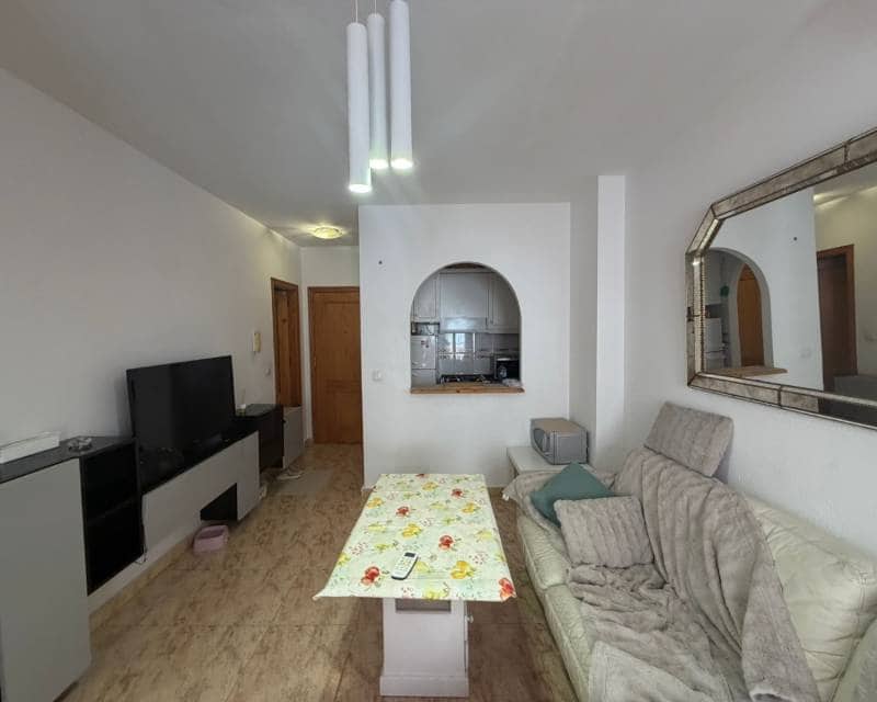 1 bedroom Apartment for rent in Torrevieja - € 700 (Ref: 9867374)