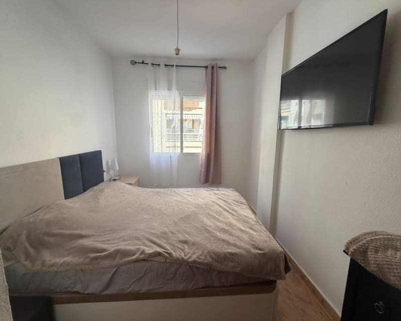 1 bedroom Apartment for rent in Torrevieja - € 700 (Ref: 9867374)