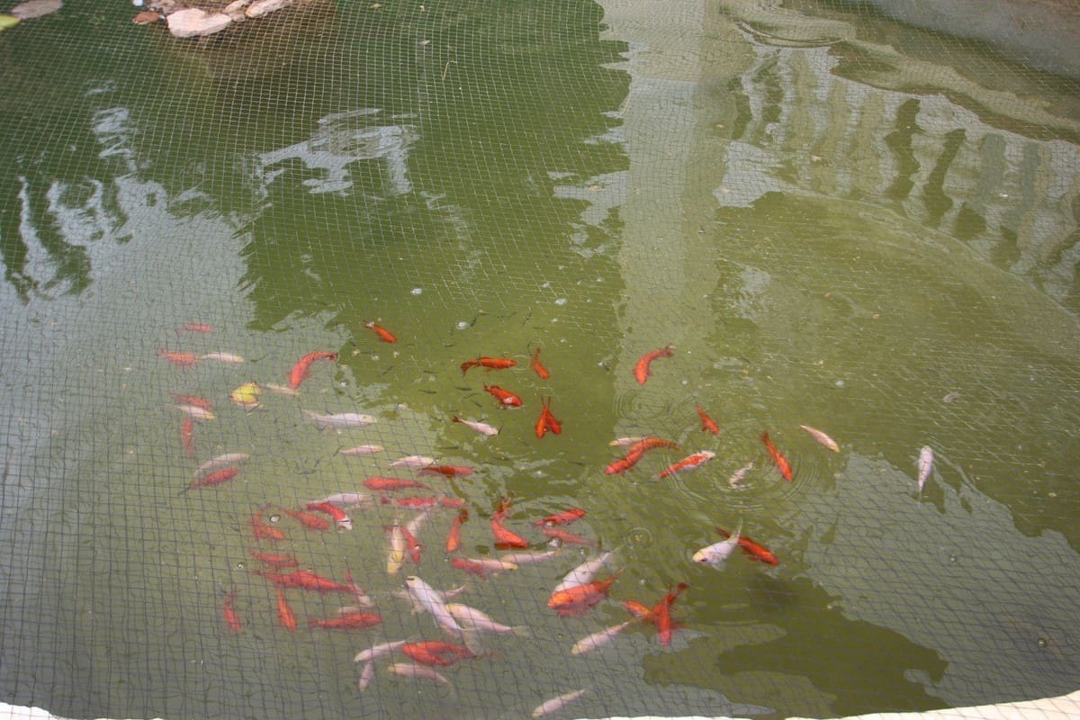 10 soverom Villa til salgs i Benalmadena med svømmebasseng garasje - € 3 000 000 (Ref: 6965622)