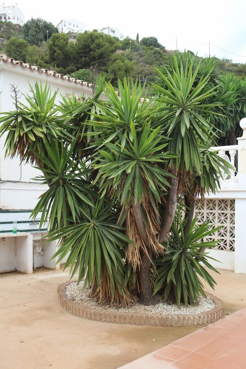 10 soverom Villa til salgs i Benalmadena med svømmebasseng garasje - € 3 000 000 (Ref: 6965622)