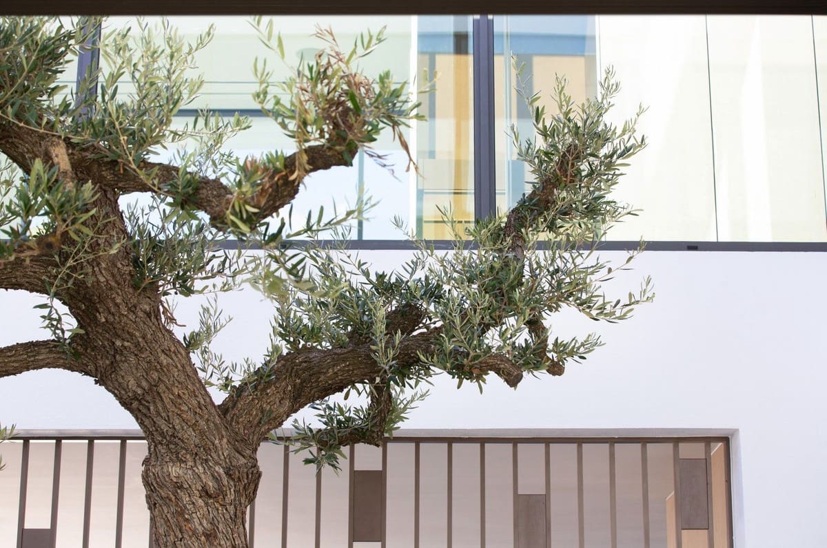 4 soverom Villa til salgs i Marbella med svømmebasseng garasje - € 7 500 000 (Ref: 8032926)