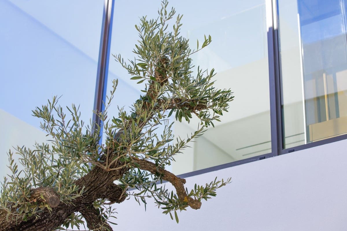 4 soverom Villa til salgs i Marbella med svømmebasseng garasje - € 7 500 000 (Ref: 8032926)