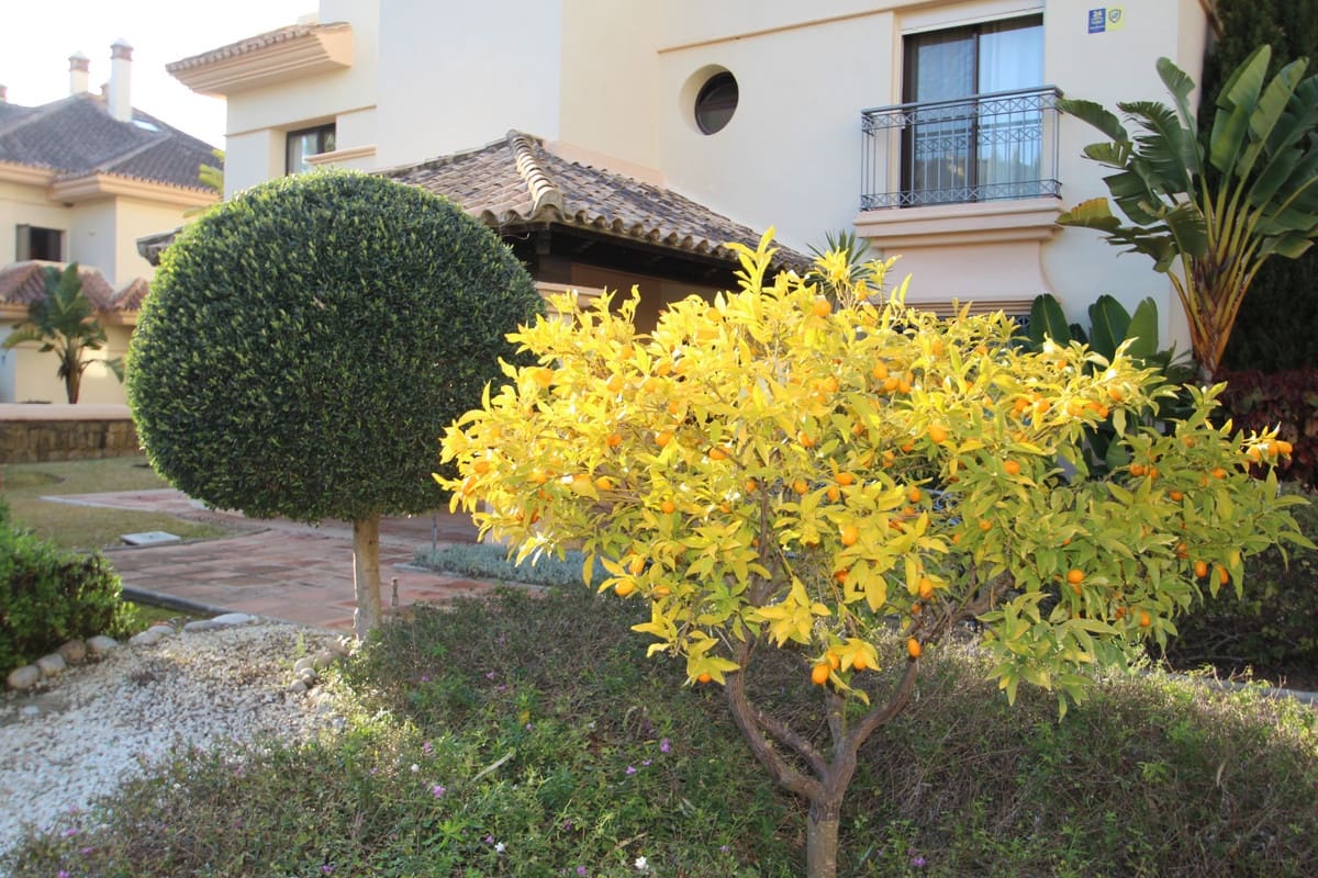 2 soveværelse Lejlighed til salg i Marbella med swimmingpool garage - € 299.000 (Ref: 9184514)