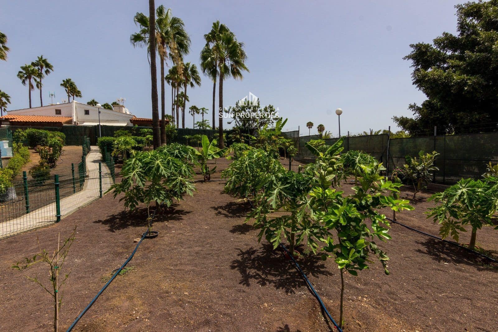 Bungalow de 2 chambres à louer à Campo Internacional avec piscine - 1 600 € (Ref: 5477890)