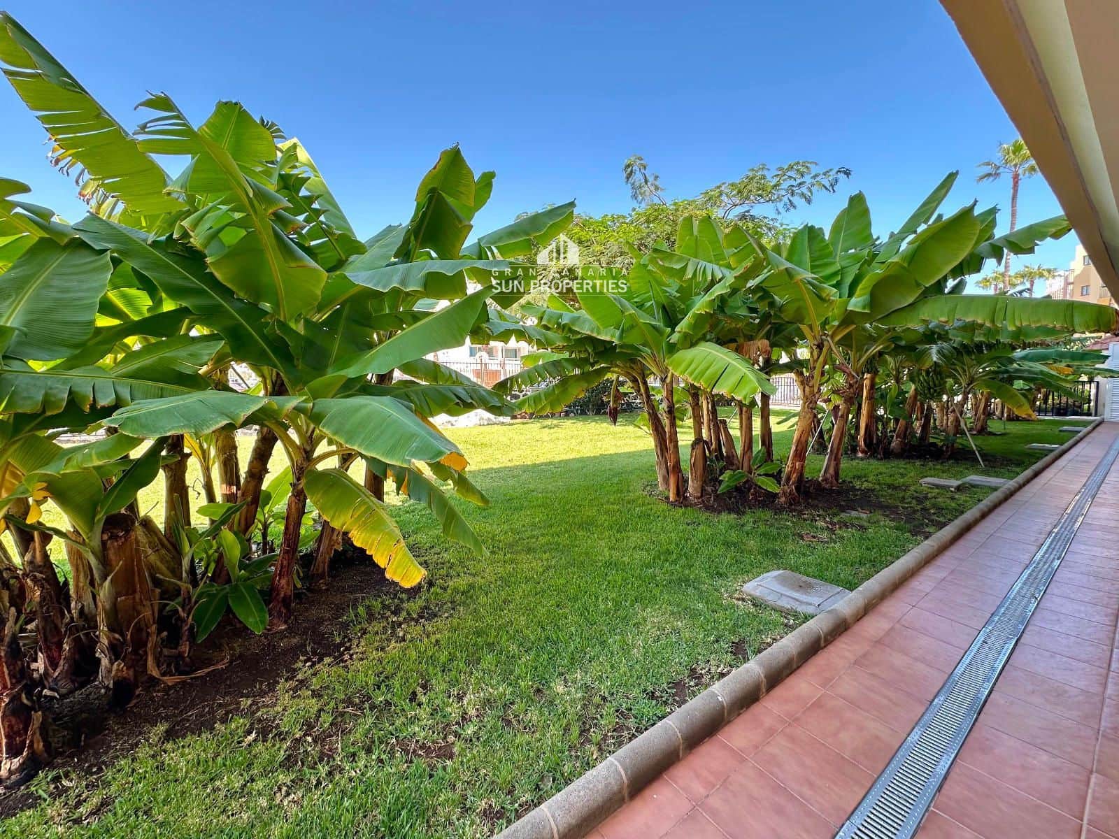 2 quarto Apartamento para arrendar em Playa del Ingles com piscina - 1 600 € (Ref: 8561908)