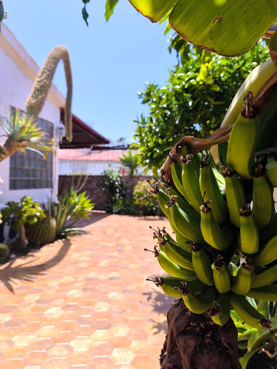 2 soveværelse Bungalow til salg i Playa del Ingles med swimmingpool - € 550.000 (Ref: 8923032)